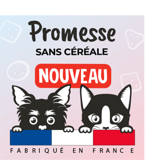 Croquettes Pour Chat Promesse Kitten Promesse Petfood